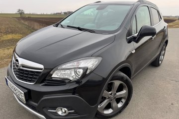 | Bogate wyposażenie | Serwisowany | Bez wkładu